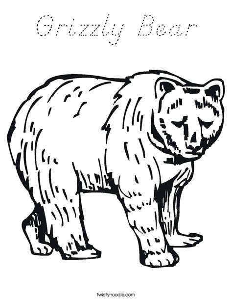 grizzly bear coloring page dnealian twisty noodle