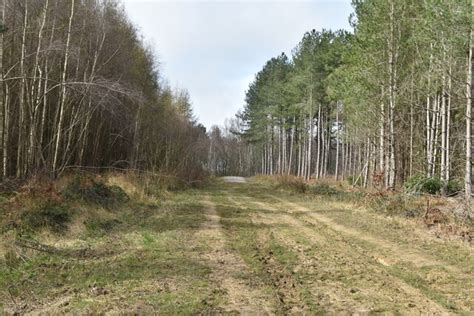 wide track   chadwick cc  sa geograph britain  ireland