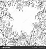 Tropicales Monochrome Monstera Fougère Fern Fronds Feuilles Croquis Dieffenbachia Valiva sketch template