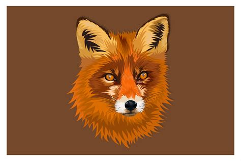 cartoon fox head drawing  vector art  vecteezy