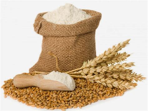 flours product news update  wheat  maida flour   types  beneficial