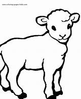 Coloring Pages Lamb Sheep Animal Drawing Printable Farm Kids Animals Color Sunrise Simple Sheets Colouring Print Books Psalm Line Sheeps sketch template