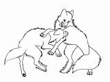Wolf Coloring Fighting Pages Clipart Drawing Getdrawings Wolves Howling Library Line Webstockreview sketch template
