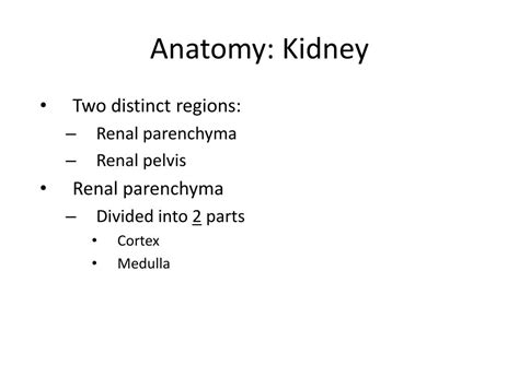 Ppt Genital Urinary System Powerpoint Presentation Free Download