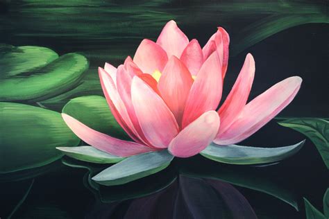 Acrylic Lotus Flower Painting Drepaint