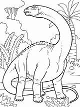 Coloring Brontosaurus Dinosaurs Colouring Sheets Printable Pages Drawing Animal Apatosaurus Color Getcolorings Getdrawings sketch template