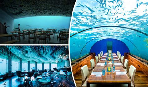 pictures most amazing underwater restaurants in the world travel news travel uk