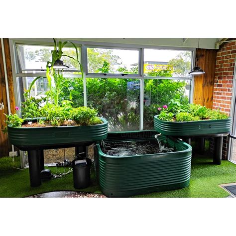 family aquaponics kit aqua gardening