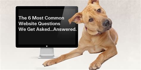 common website questions   askedand answered