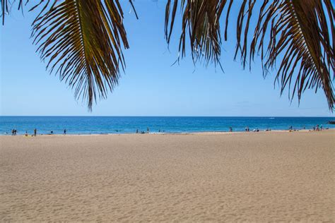 reservez suite hotel fariones playa  puerto del carmen chez corendon partez au soleil pour pas