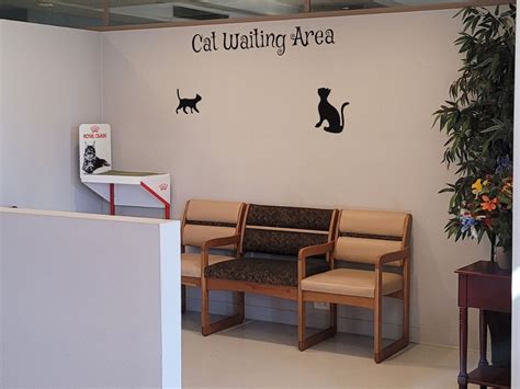 paws  claws pet care gallery vet clinic  palm desert ca