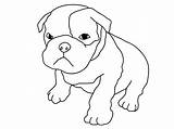 Puppy Coloring Pages Bulldog Kids sketch template
