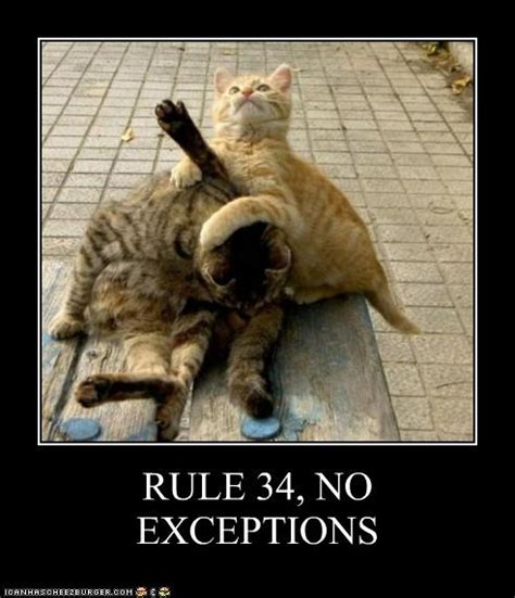 rule 34 no exceptions cheezburger funny memes funny pictures