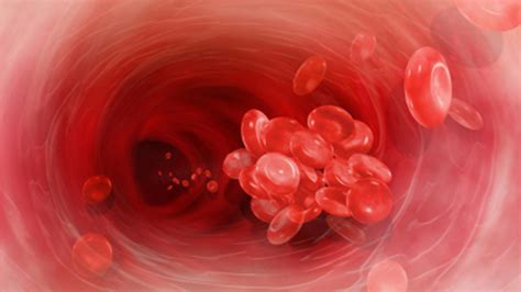 clot thickens   prevention   blood clot fox news