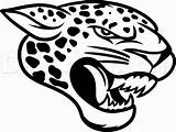 Jaguars Jacksonville Draw Drawing Step Drawings Jaguar Gif Logo Clipart Clip 1110 Sketches Color Choose Board sketch template