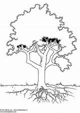 Tree Coloring Pages Printable sketch template