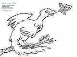 Archaeopteryx Coloring sketch template