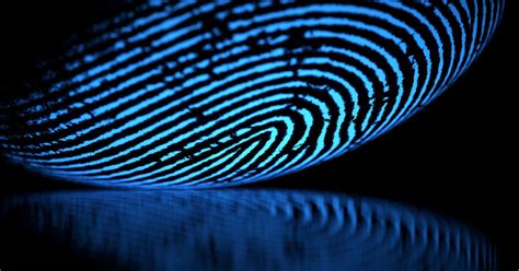 forensic fingerprint analysis services forensic access