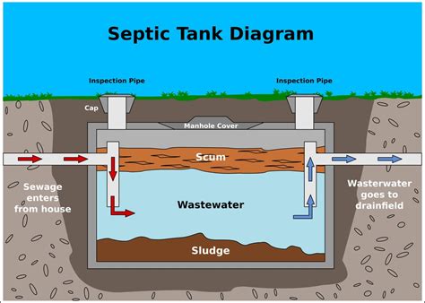 septic tank    work  tox