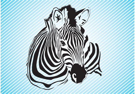 zebra graphics   vector art stock graphics images