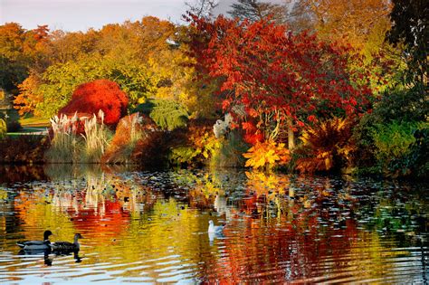 beautiful autumn   wakehurst kew