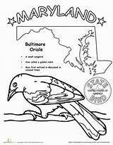 Maryland State Coloring Bird Worksheets Grade Printable Worksheet First Kids Science Animals Life Facts Designlooter Birds School Sheets Choose Board sketch template