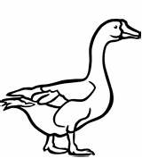 Goose Coloring Pages Walking Supercoloring sketch template