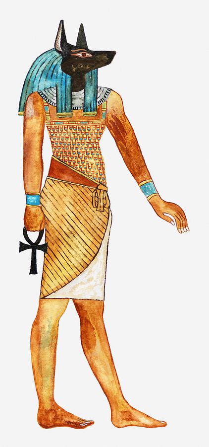 Illustration Of Ancient Egyptian God Of The Dead Anubis