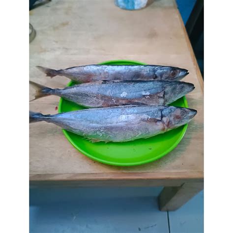 jual ikan kembung layang shopee indonesia