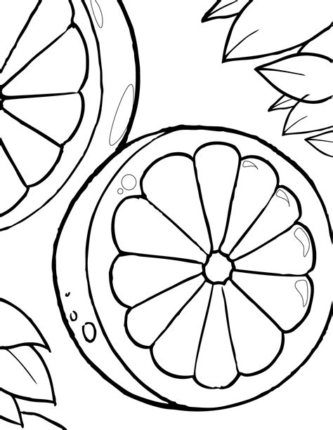 oranges coloring pages  coloring pages  kids