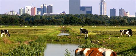 knmi klimaat van nederland