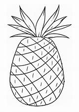 Coloring Pages Pineapple Luau Color Kids sketch template