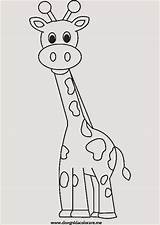 Giraffe Jirafas Tiere Malvorlagen sketch template