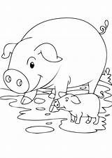Pig Schwein Animais Piglet Cerdo Pigs Ausmalbild Kostenlos Cochinillo Bestcoloringpages Dibujosonline sketch template