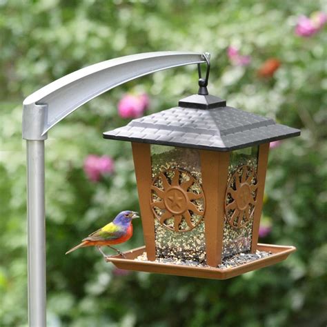 amazoncom perky pet   universal bird feeder pole wild bird feeder accessories garden