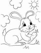 Carrot Conejo Zanahoria Lindo Sunny Conejos Rabbits Pobarvanke Imprimir Preescolar Supercoloring Ninas Velveteen Doghousemusic sketch template
