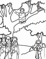 Zacchaeus Coloring Pages Bible Jesus Pre Story School Crafts Printable Craft Sunday Kids Preschool Sheet Down Tree Color Activity Lesson sketch template