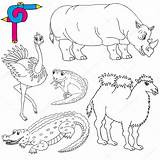 Animais Selvagens Animaux Sauvages Coloration Kleurende Dieren Ilustração sketch template