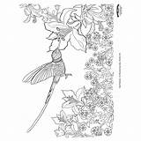 Hummingbird Orientaltrading Hummingbirds sketch template