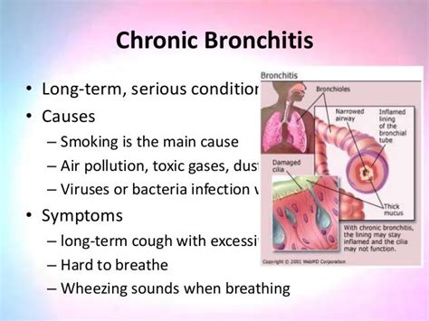 chronic bronchitis symptoms asthma lung disease