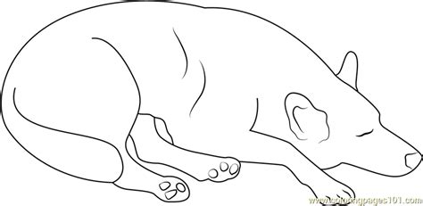 dog sleeping  home coloring page  dog coloring pages