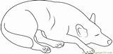 Coloring Dog Sleeping Pages Coloringpages101 sketch template