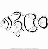 Fish Coloring Small Pages Printable Getcolorings Color Getdrawings sketch template