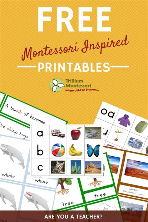 baesta bilderna om montessori  printables downloads pa