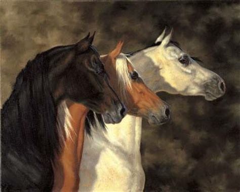 images  horses  art  pinterest arabian horses