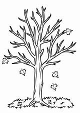 Coloring Stem Pages Tree Printable Getcolorings Fall sketch template