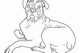 Boxer Coloring Dog Pages Pug Cute Little Down sketch template