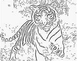 Animals Karate Tigre Colouring Coloringhome Coloriages sketch template