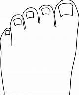 Toes Toe Clipart Outline Clip Foot Toenail Feet Drawing Cliparts Nail Baby Vector Kaki Body Human Clipground Library 20clipart Categories sketch template