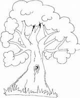 Baum Arboles Arbre Kolorowanki Astloch árbol Arvore Baeume Trunk Baeren Manu Taba Basteln árvores Gratuit Arbolito Drucken Coloriages sketch template